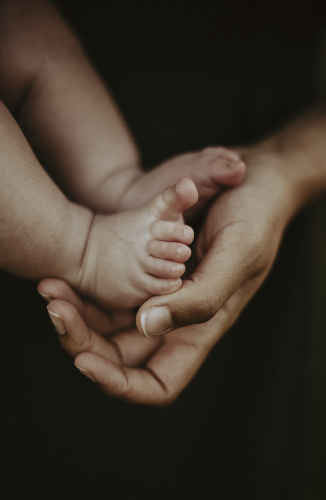 naissance à Limoges