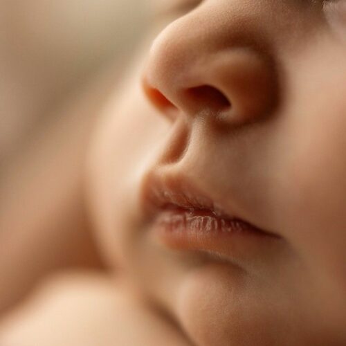 0410f0792b21a653e97b90b1adee4c98